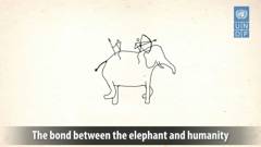 Still from the film World Elephant Day
