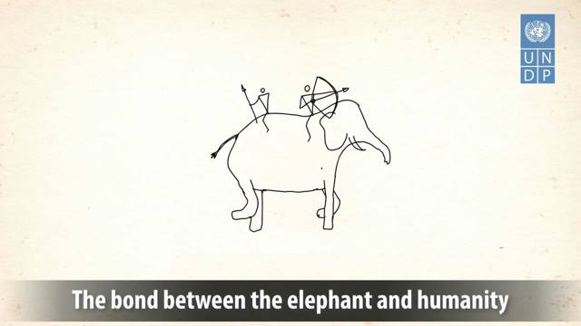 Still from the film World Elephant Day