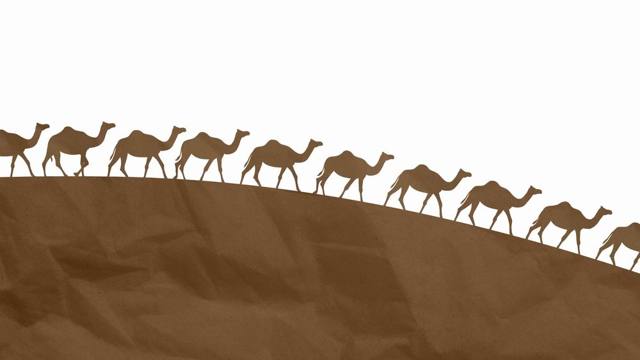Still from the film CFP-World Camel Day